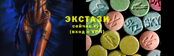 ECSTASY Богородицк