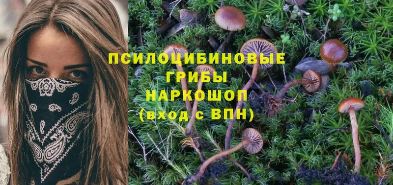 Галлюциногенные грибы Psilocybine cubensis  купить закладку  гидра онион  Златоуст 